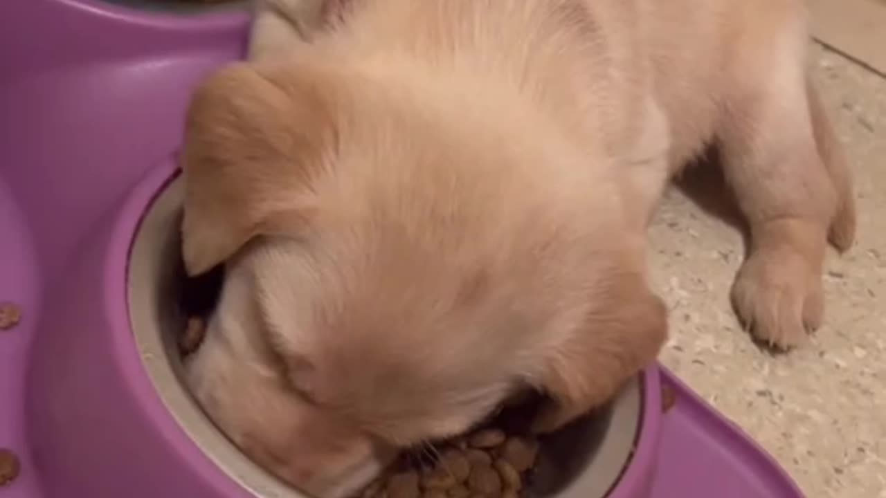 SLEEPY THURSDAY 2.27.25