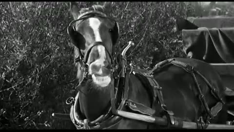 180 - Horsing Around