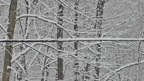 Bouncing Phone Line Clip 2