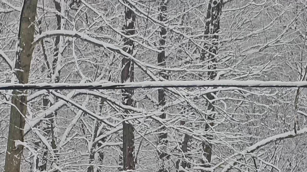 Bouncing Phone Line Clip 2