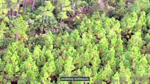 St. Johns County aerial and bodycam shows hours-long manhunt for fugitive who fled from traffic stop