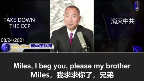 荷兰法院命令比尔·盖茨与辉瑞CEO布尔拉亲自出庭新冠疫苗伤害案