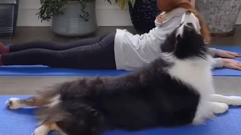 Morning Yoga Time