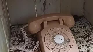 Wind Phone — Send your words to heaven via the wind 💨