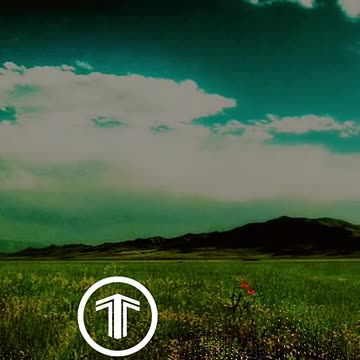 МАЛО КТО ЗНАЕТ #shrots #tompitai #томпитай