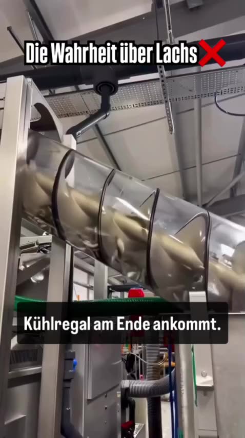 Null nein Null, Nix und ja Zuchtfische ernähren sich nicht natürlich.