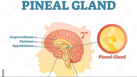 Melatonin & The SLEEP Cycle