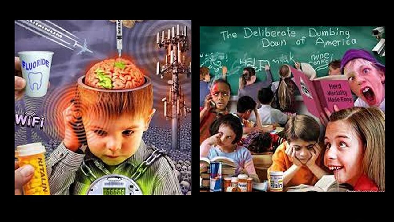 Eric Dubay: All Goverment Schools are Forced Government Indoctrination Camps!