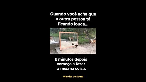 só louco