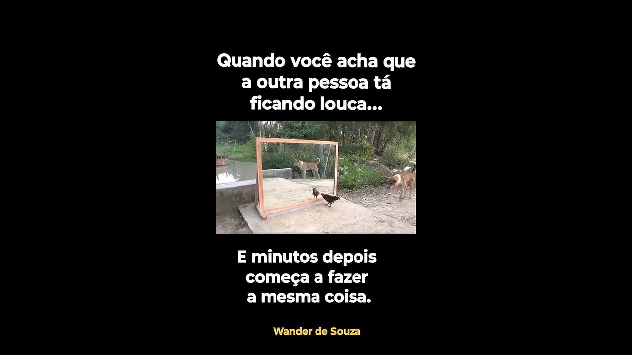 só louco