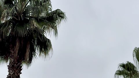 Edificio Barcelona 88