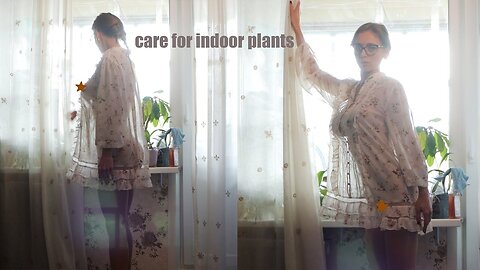 Transparent Cleaning windowsill caring for indoor plants with beautiful girl