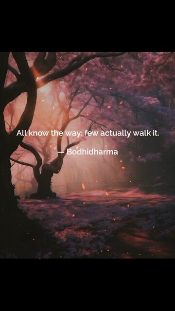 Your Qoute For A Day 184