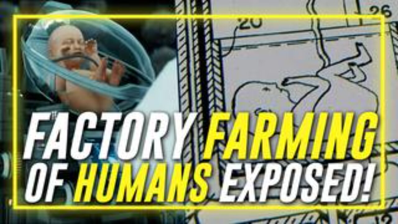 Leading Expert On Surrogate Births Exposes Factory Farming Of Humans Which Is $200 Billon Globally!