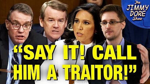 Tulsi Gabbard Won't Call Edward Snowden A "TRAITOR" - Senators FREAK OUT