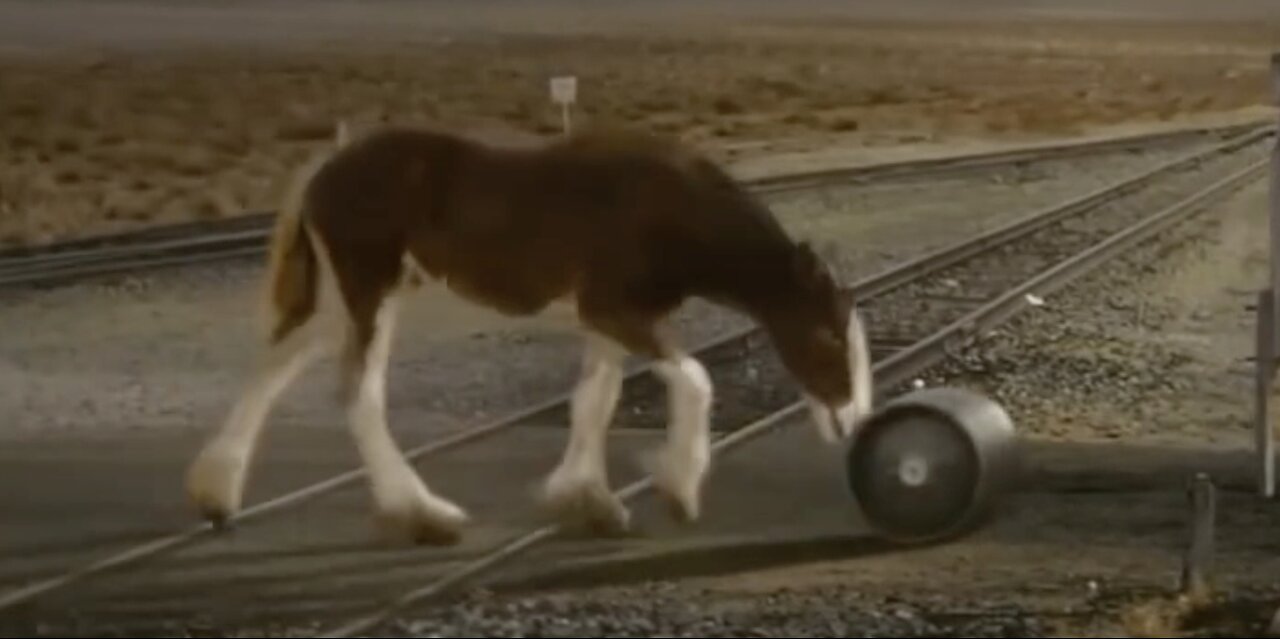 Budweiser releases 2025 Superbowl commercial, & it’s the all American content we all need