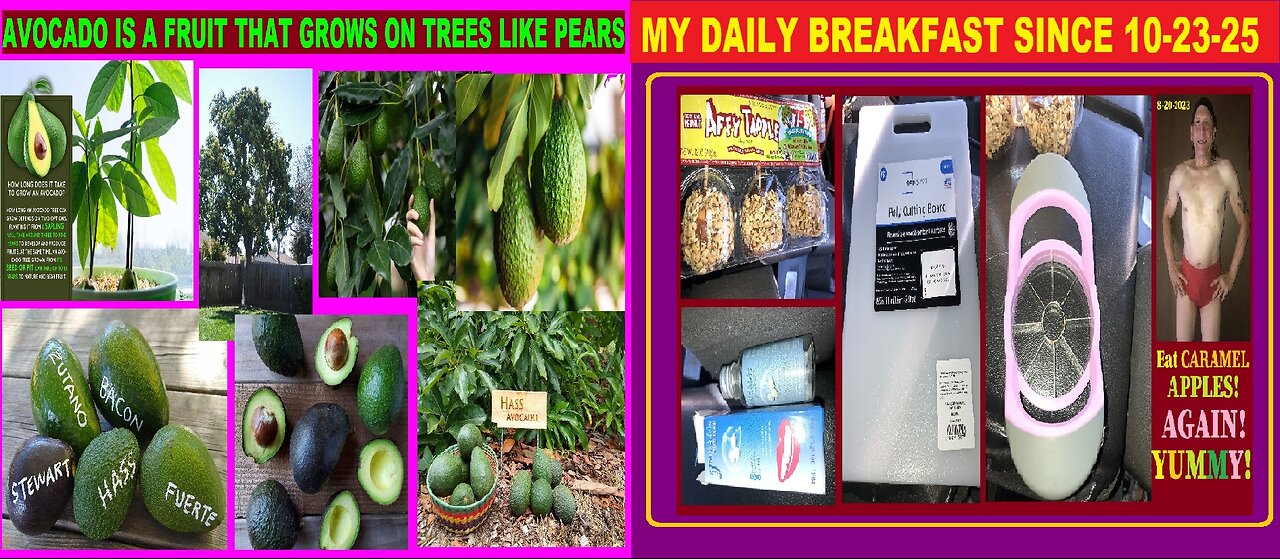 The Brooklyn Crusher's DAILY BREAKFAST SINCE 10-23-25