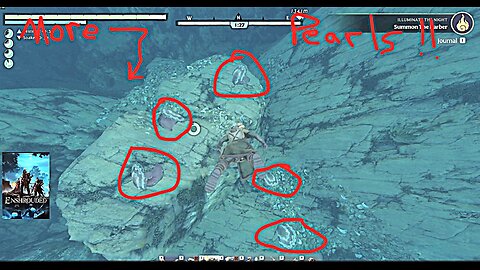 Enshrouded Great Farming Spot for Pearls/Mother of Pearls