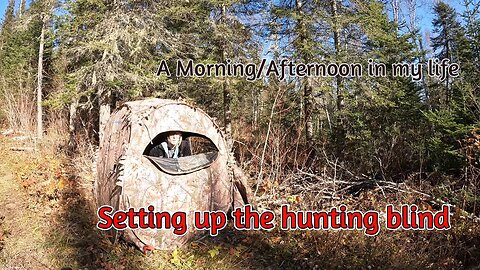 Morning/Afternoon in my life | Hunting Blind Setup