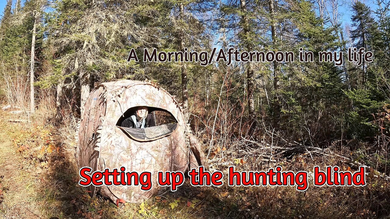 Morning/Afternoon in my life | Hunting Blind Setup