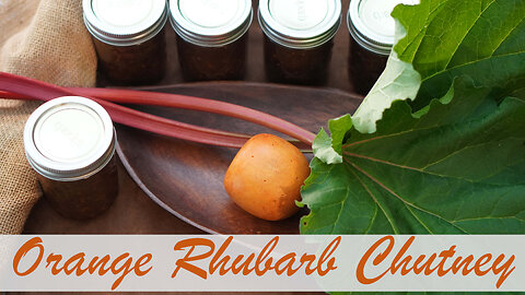 Orange Rhubarb Chutney Canning Recipe