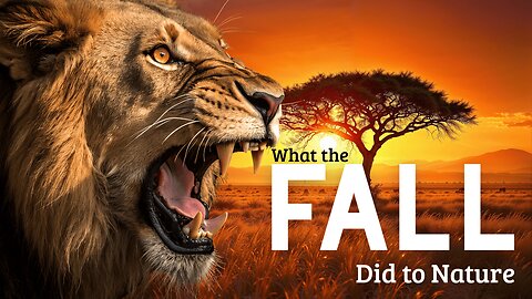 Beauty, Chaos, & Order of God's World | Eric Hovind & Dr. Gordon Wilson | Creation Today Show #447