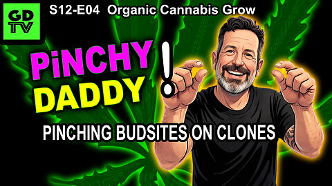 S12-E04 – Day 21 Of This Grow – Pinching Bud Sites On Clones