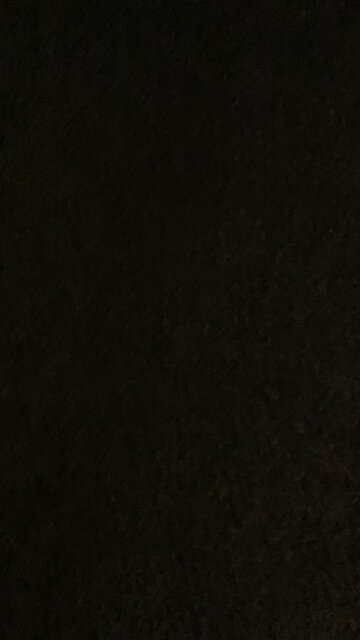 “Wise” “words”