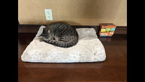 Episode 3087 - The Scott Adams School 02/04/26