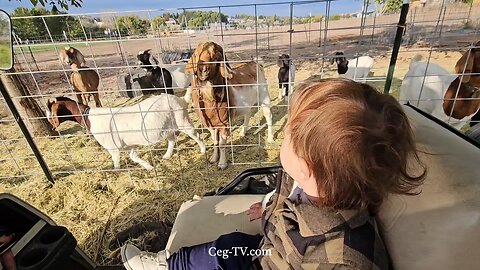 Graham Family Farm NW: 8:45 AM October 9 2025