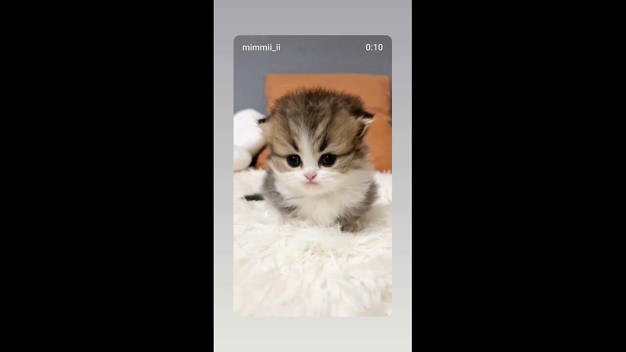 BillyMieder.com 2025 - 8