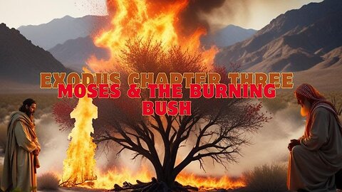 Exodus Chapter 3 Bible Study: Moses' Ministry Begins