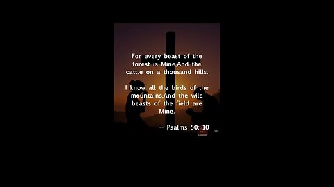 Everything is the Lord