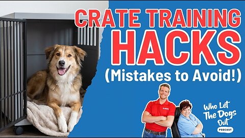 Rerun: Crate Training 101 How to Do It Right, Common Mistakes, & Solving Anxiety🐾— Dog Talk Ep 091