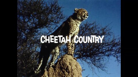 Mutual of Omaha's Wild Kingdom - "Cheetah Country"