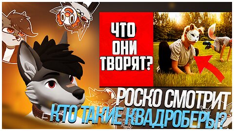 🐺 Роско смотрит Xduak - КТО ТАКИЕ КВАДРОБЕРЫ? ФУРРИ из Tik-Tok