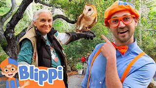 Blippi’s Animal Friends: Discovering an Owl and a Deer! 🦌🦉- Blippi | Educational Videos for Kids