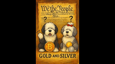 The Roar Room 107 Gold & Silver