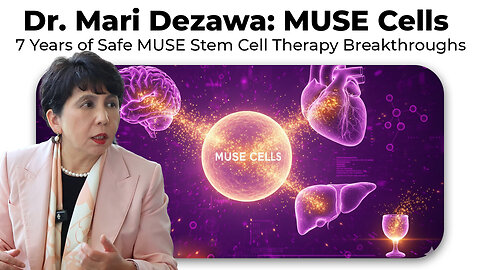 Dr. Mari Dezawa: MUSE Cells – 7 Years of Safe MUSE Stem Cell Therapy Breakthroughs