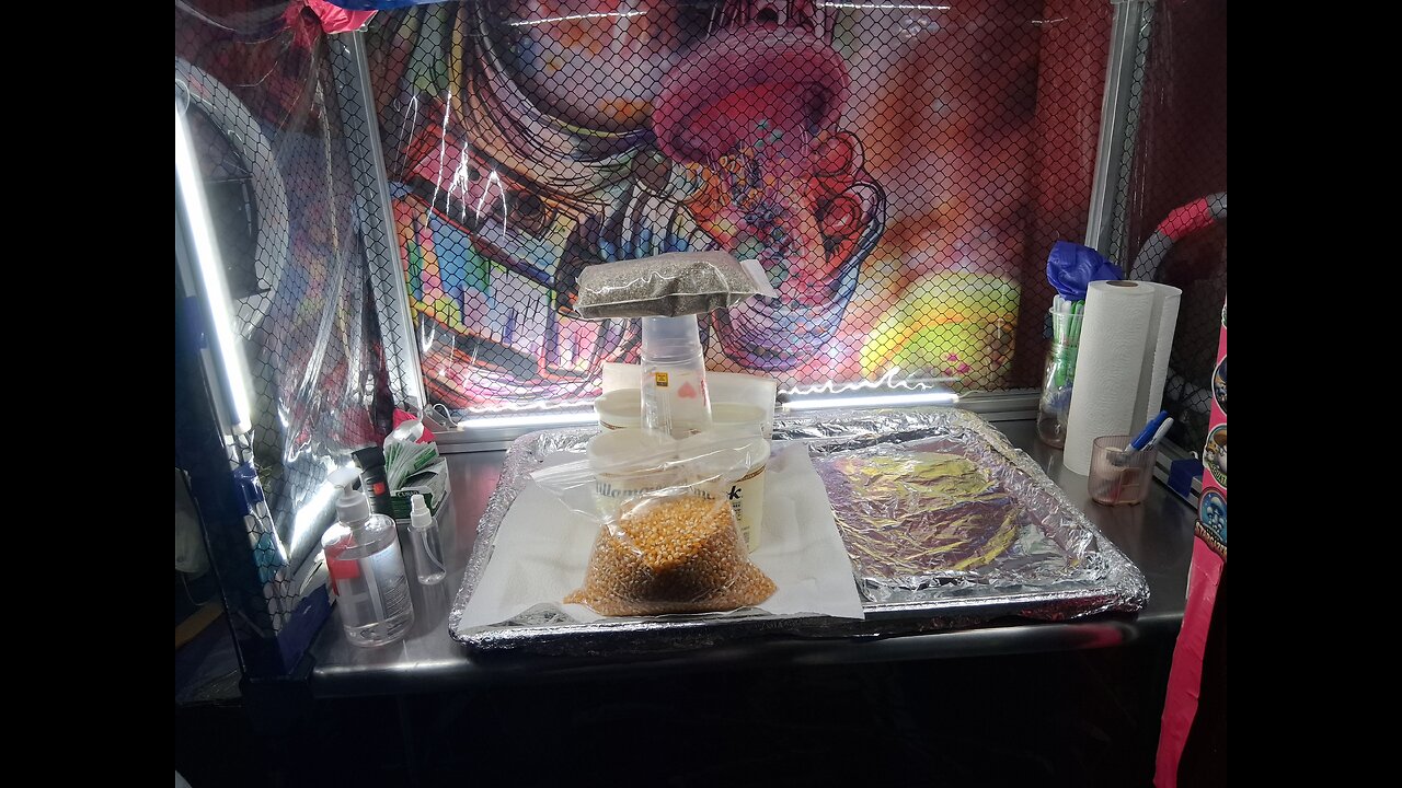 Cleaning up the No Soak / No Simmer Method Of grain 🌾 hydration -Mycology Monday #128