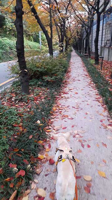 20251109. God Is Love.