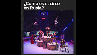 Damas y caballeros: ¡bienvenidos al circo!