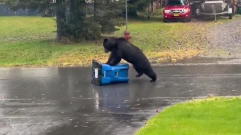 A bear took its frustration out on a bear-proof trash can outside a home in Alaska