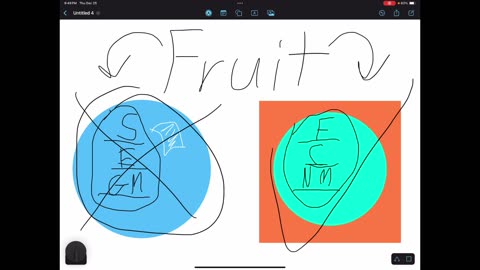 Flat earth, creationism, and fake moon landing fruit