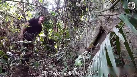 Fire, Rain and Survival Work Remix