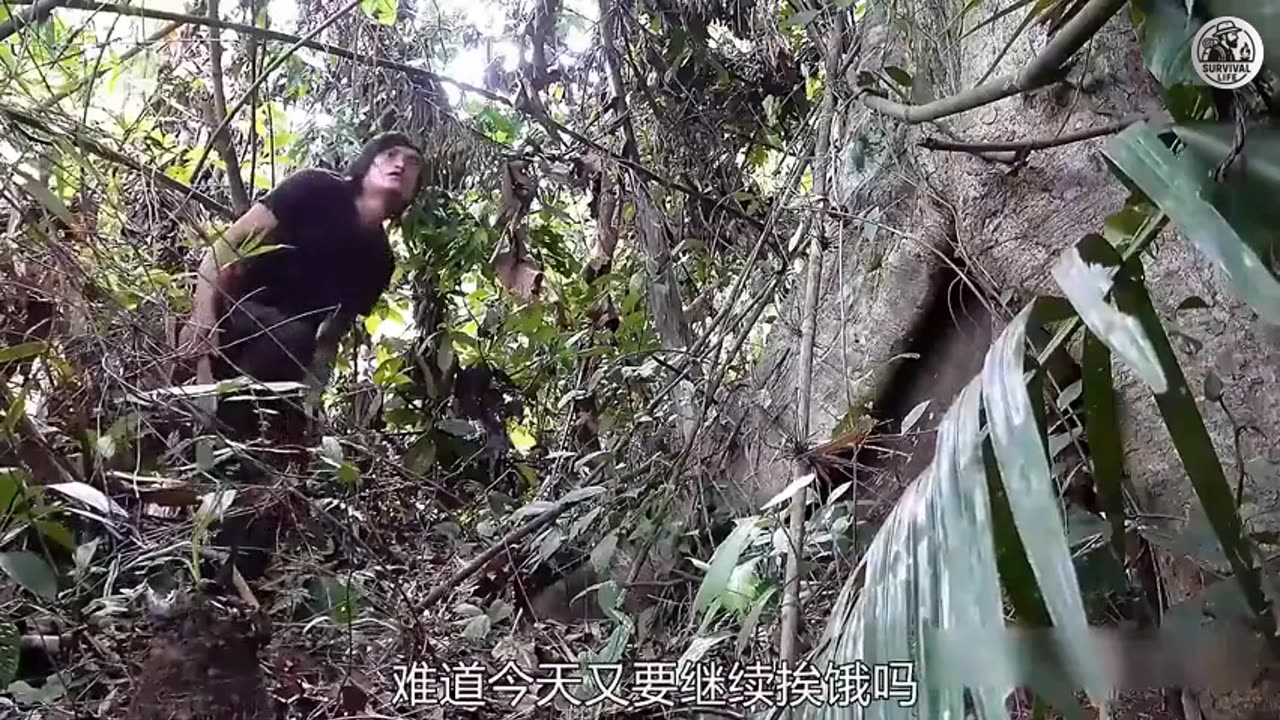 Fire, Rain and Survival Work Remix