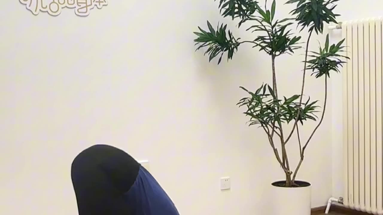 0061.脊椎開發