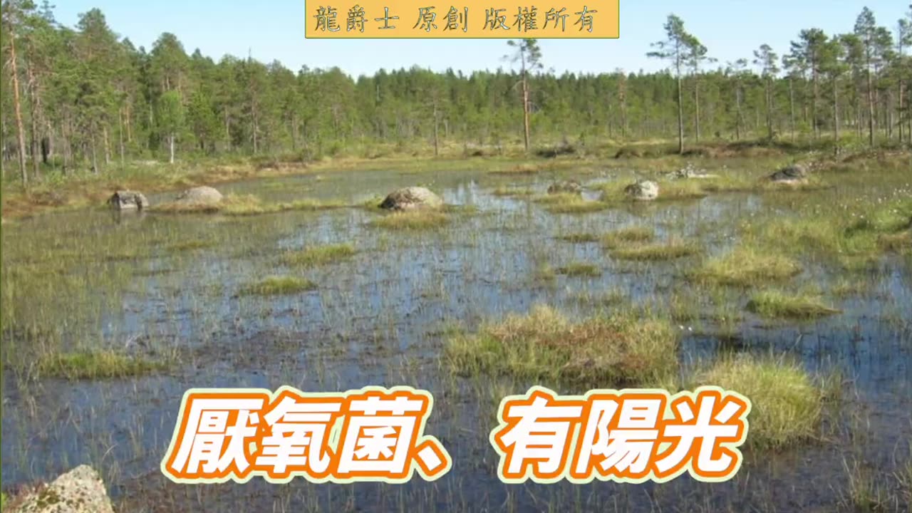 【龍爵士】Q279 光合菌粉可以跟他牌硝化菌混合使用嗎