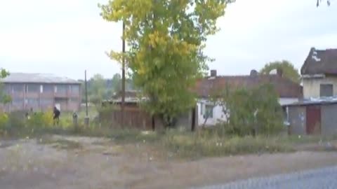 Retro Moment: Chopping a Poplar Tree 🎥2