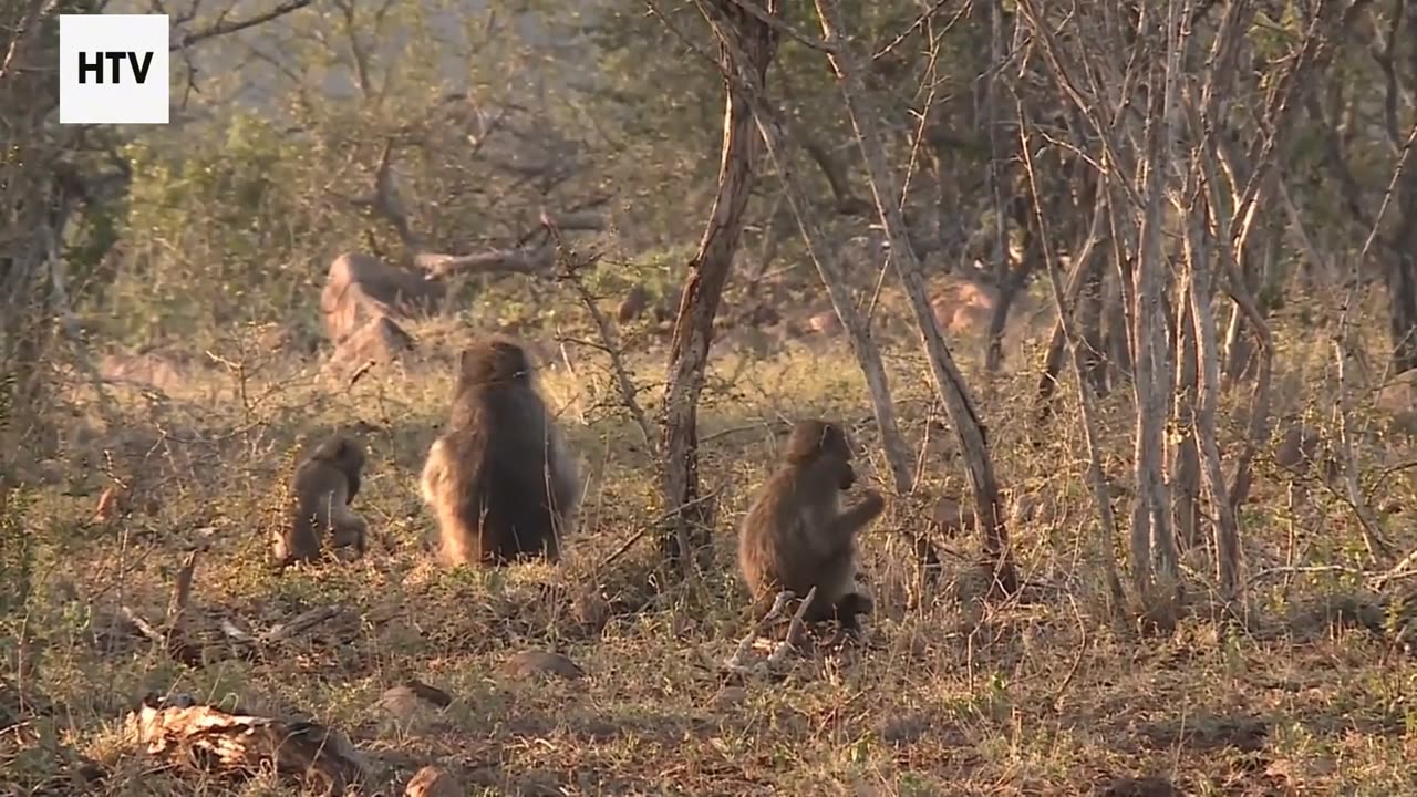 EcoTrail Nomads: Walking the Green Path